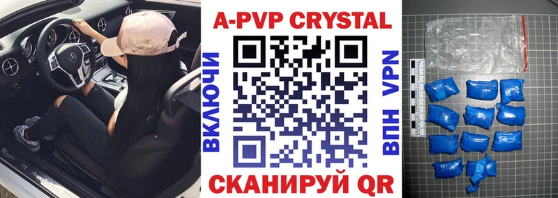 A PVP СК  Вологда 