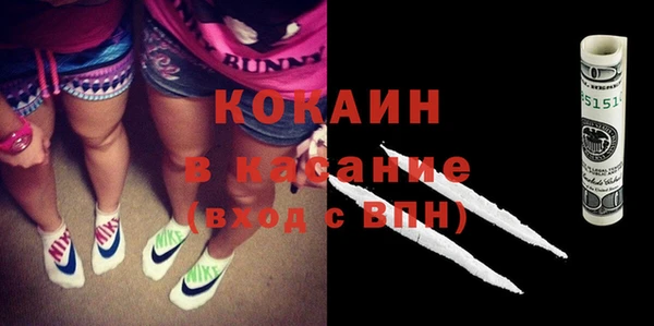 шишки Абаза