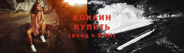 шишки Абаза