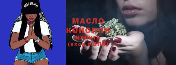мет Алексин