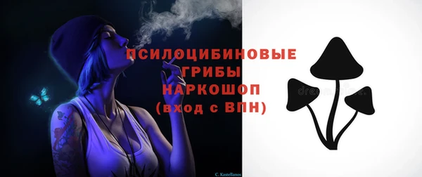 шишки Абаза