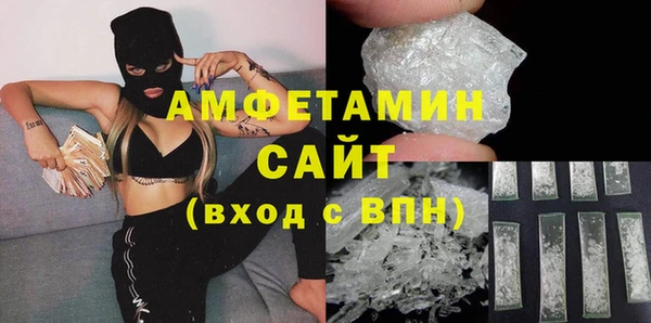 мет Алексин