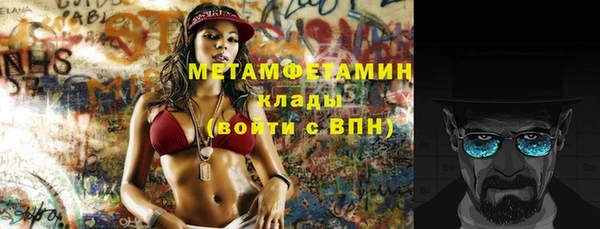 шишки Абаза