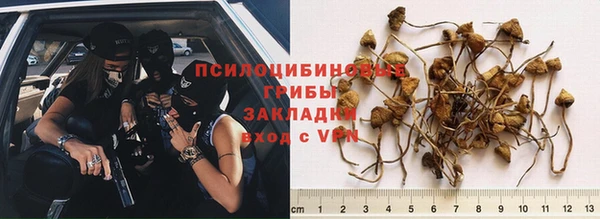 молекула духа Абдулино