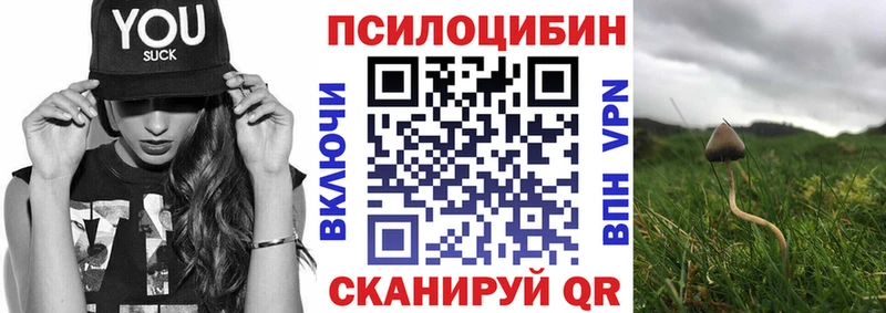 Галлюциногенные грибы прущие грибы  купить  сайты  Вологда 